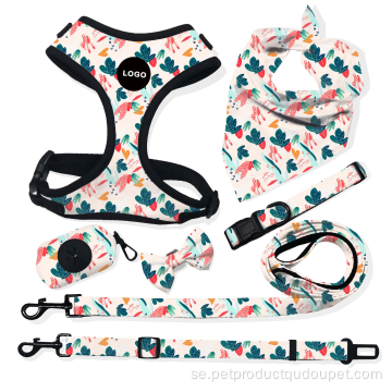 Designkrage Bow Leash tryckt hund